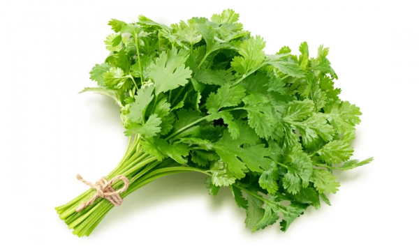 Как кинза влияет на организм: процесс не обратить уже от пучка